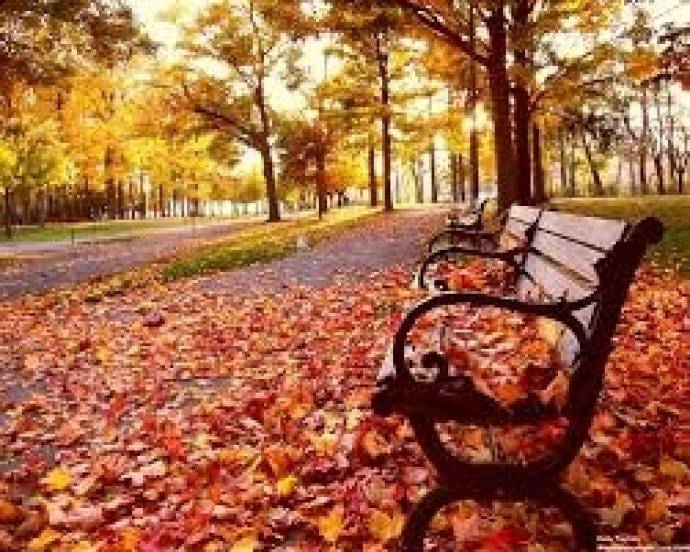 Cómo lograr salones cálidos para este otoño
